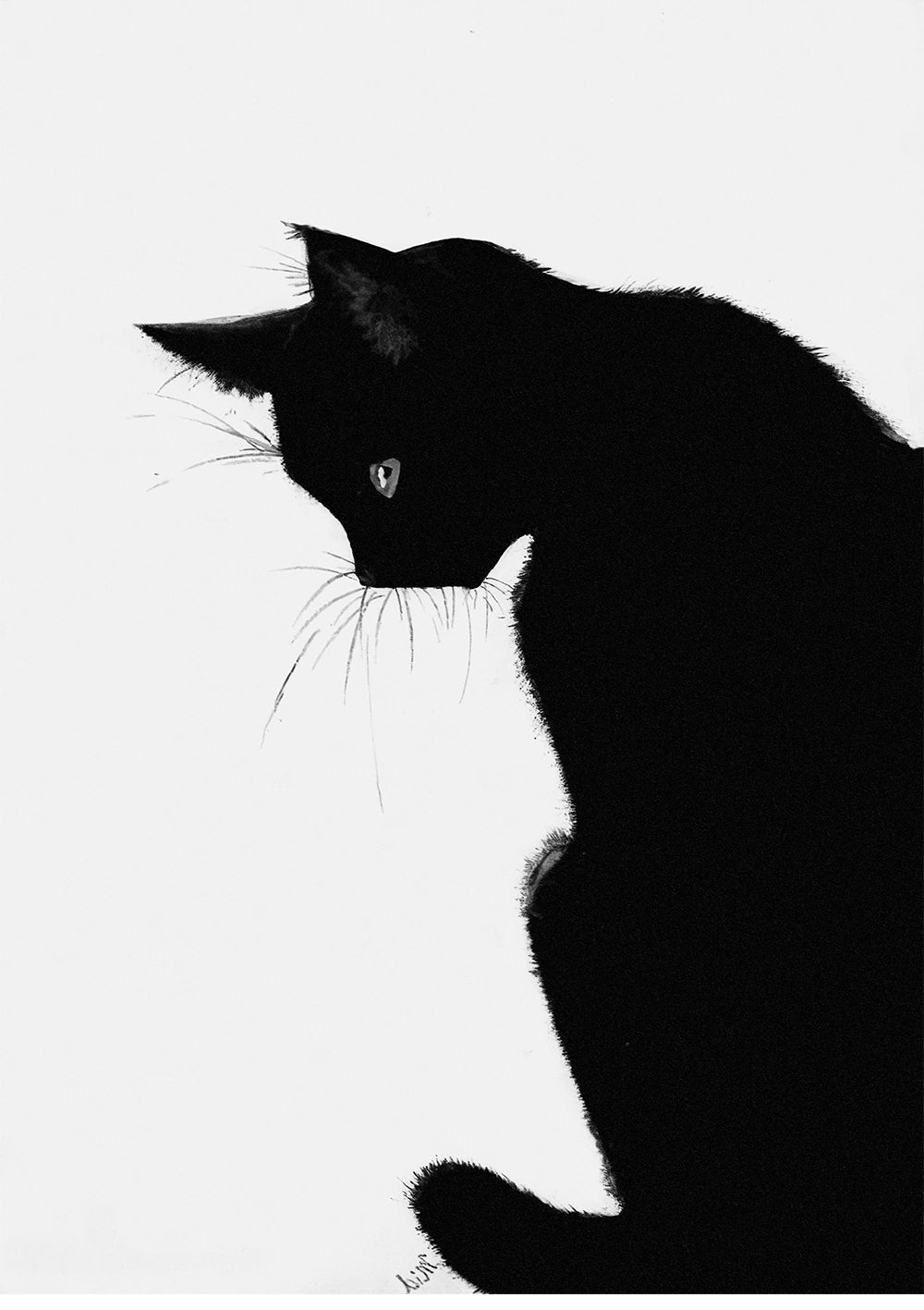 Black & White Cat Poster