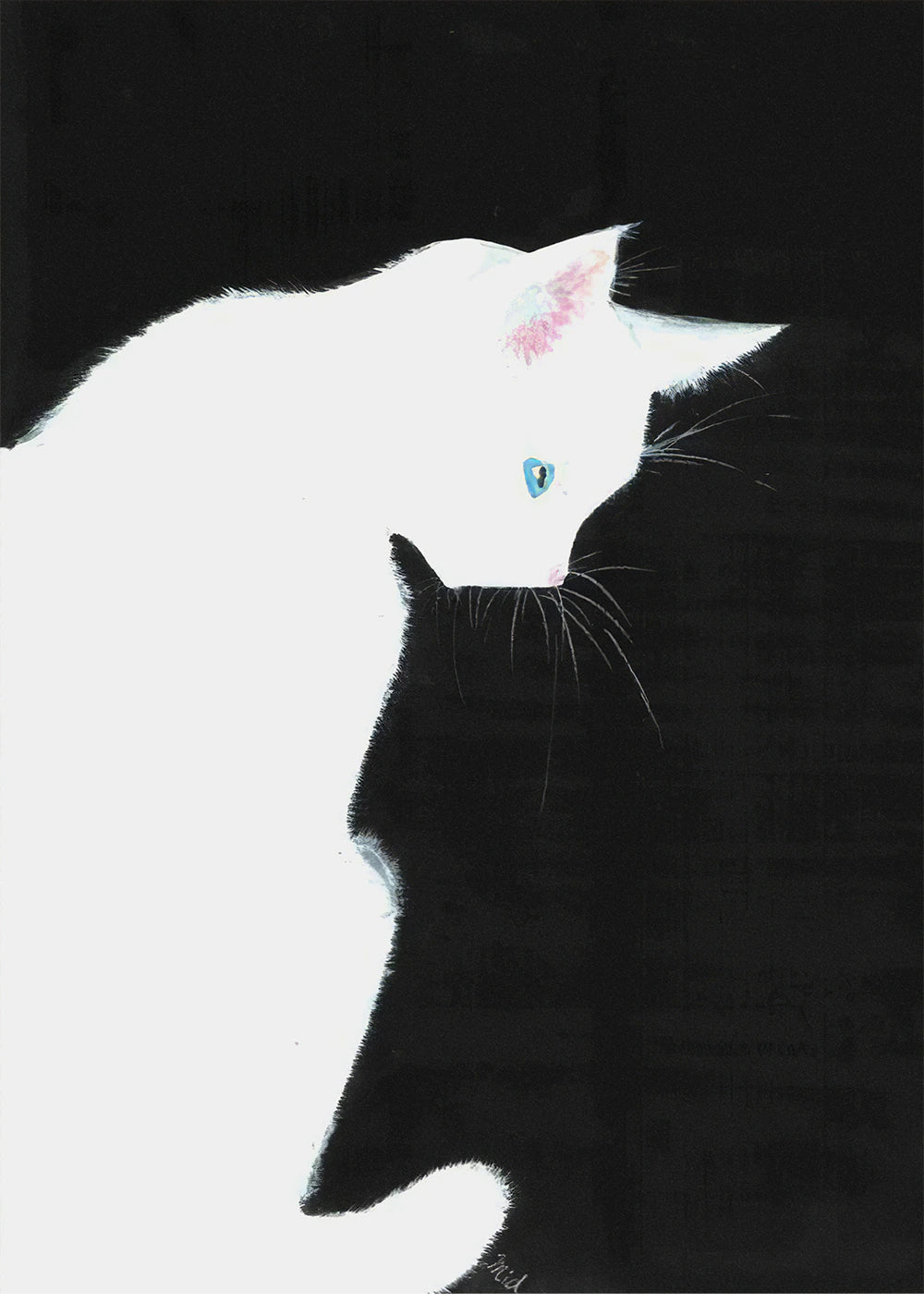 Black & White Cat Poster