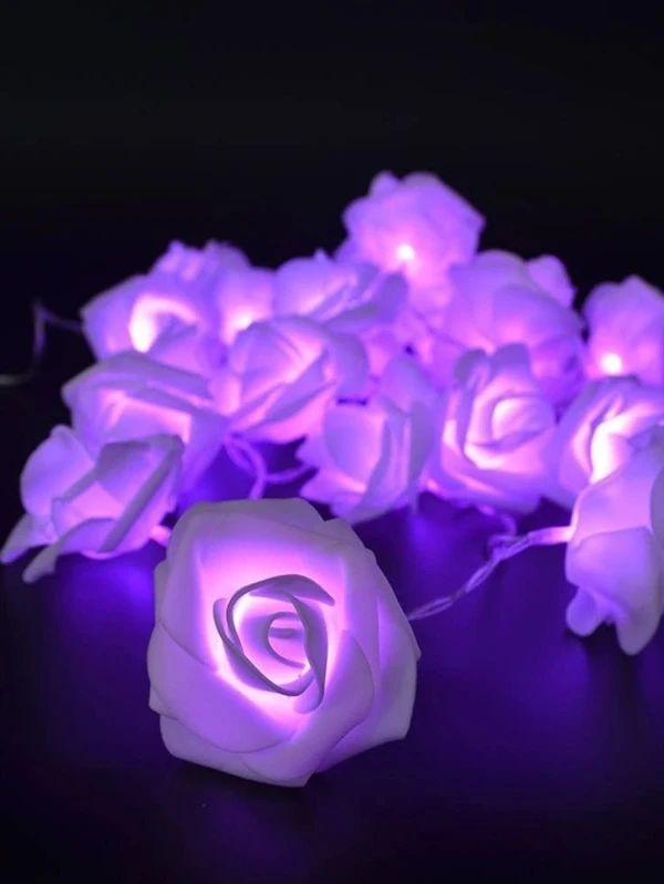 10pcs of Rose Shaped Bulb String Light 1.5m