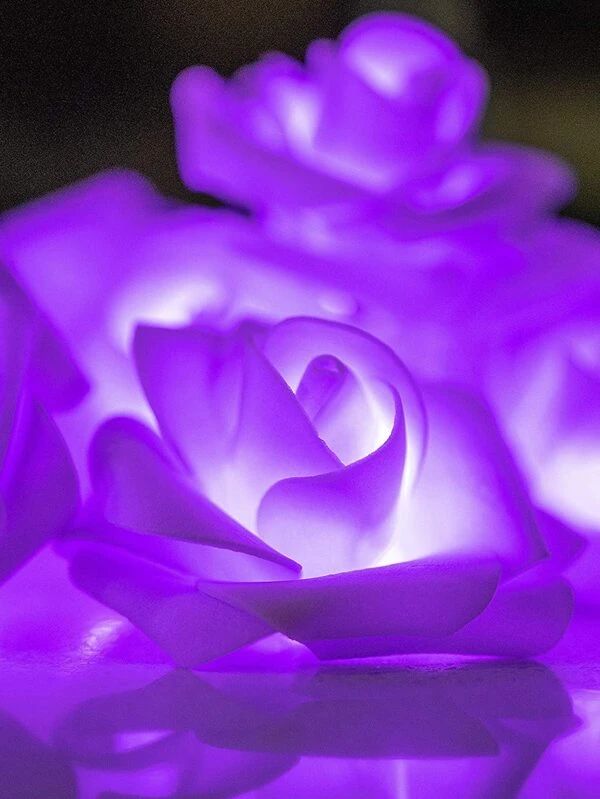 10pcs of Rose Shaped Bulb String Light 1.5m