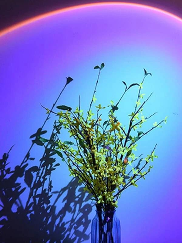 Adjustable Colorful Sunset Led Light