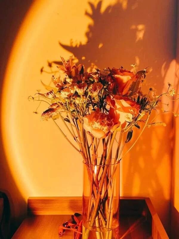 Sunset Led Light For Home decor Or Photographer