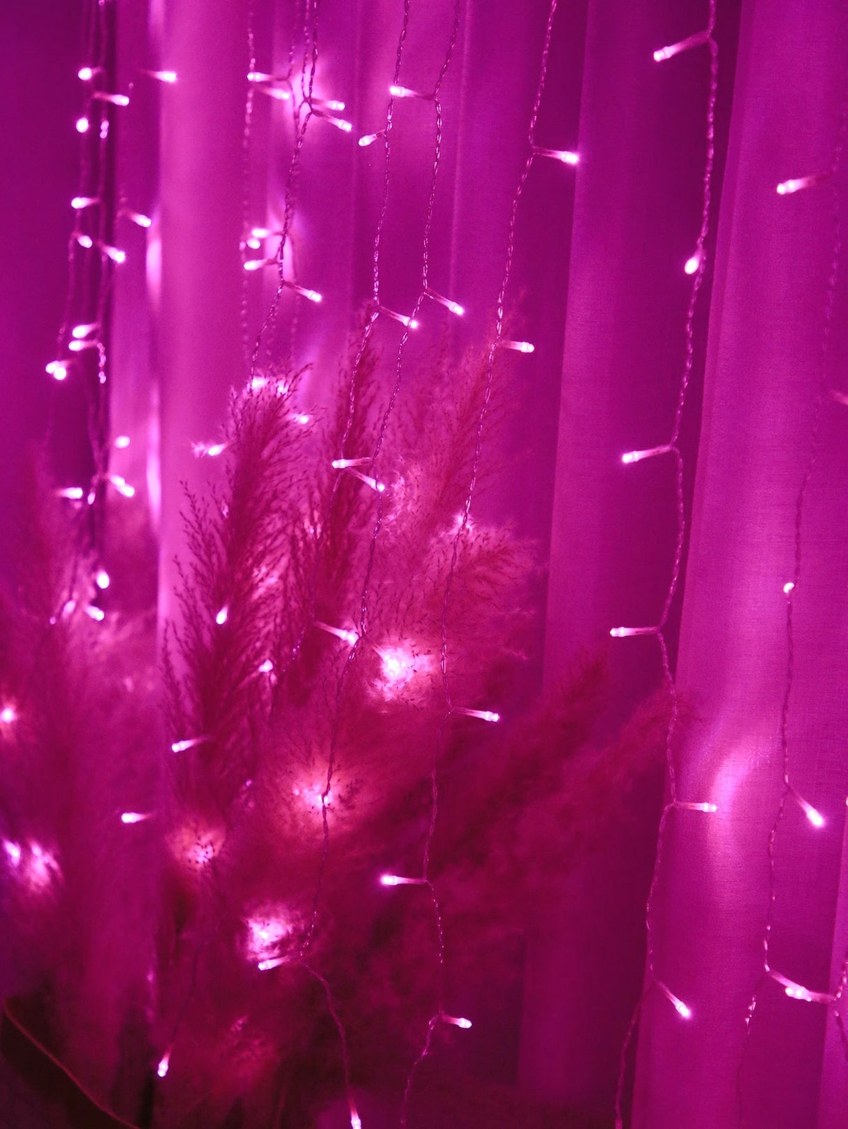 Curtain String Light 1pc - Novelty Lighting