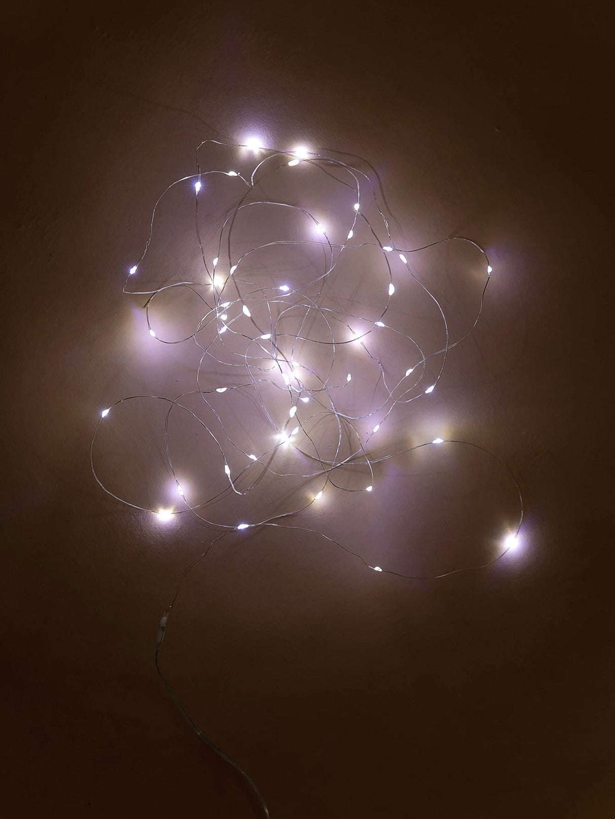 Bulb Copper String Light 50pcs - Novelty Lighting