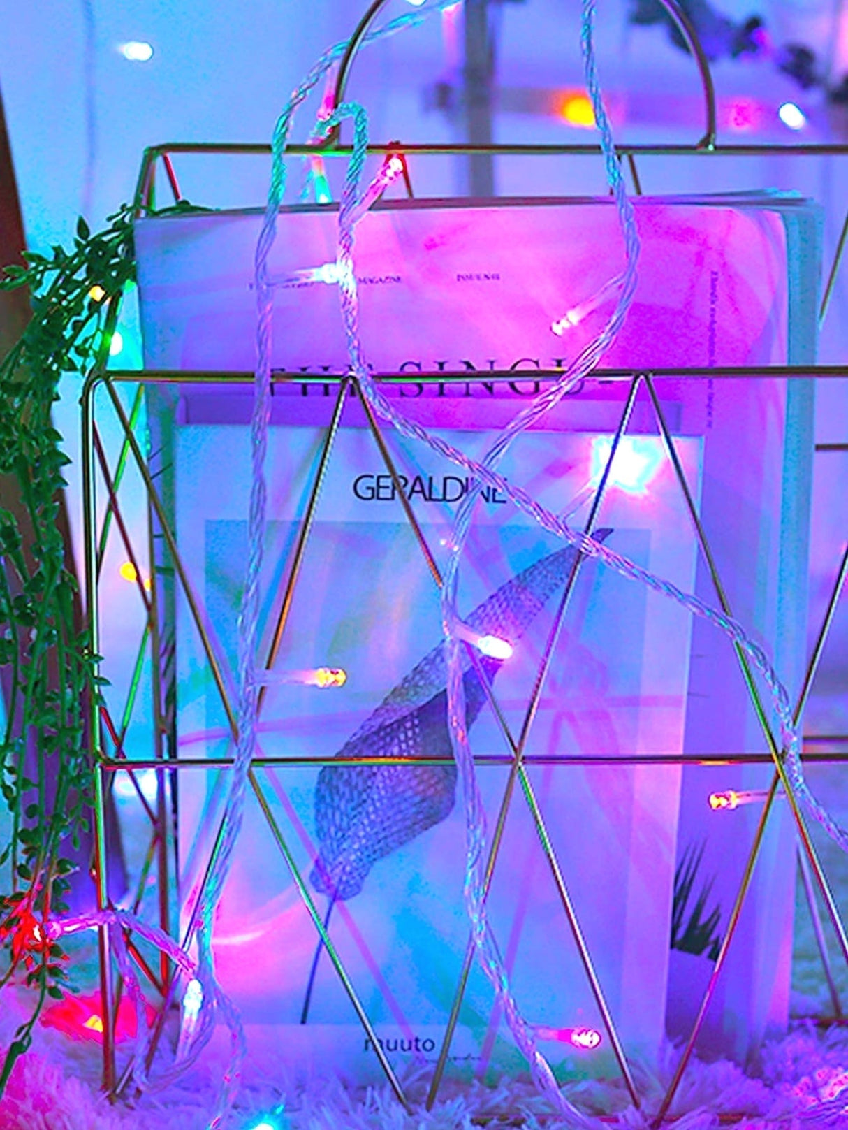 40 Led 4m String Light - Novelty Lighting