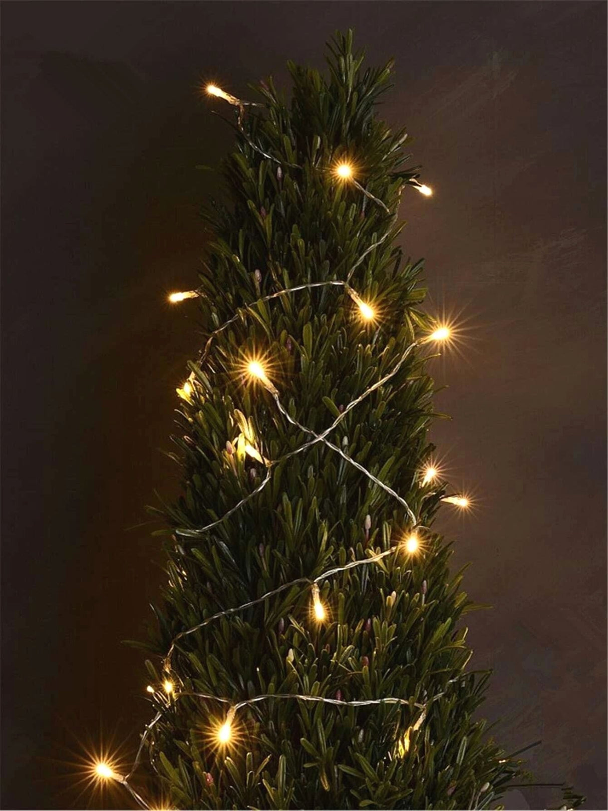 Decorative String Light with 50pcs Bulb Curtain - Novelty Lighting