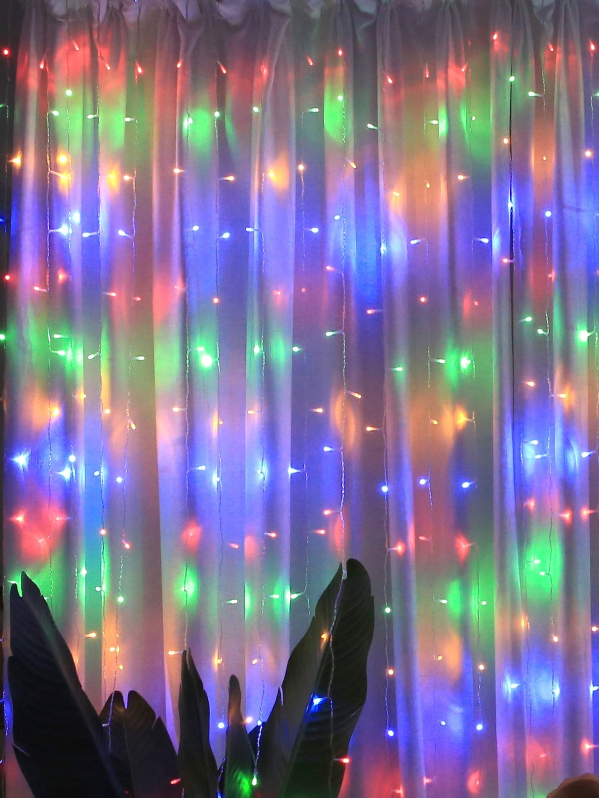 Curtain String Light 1pc - Novelty Lighting