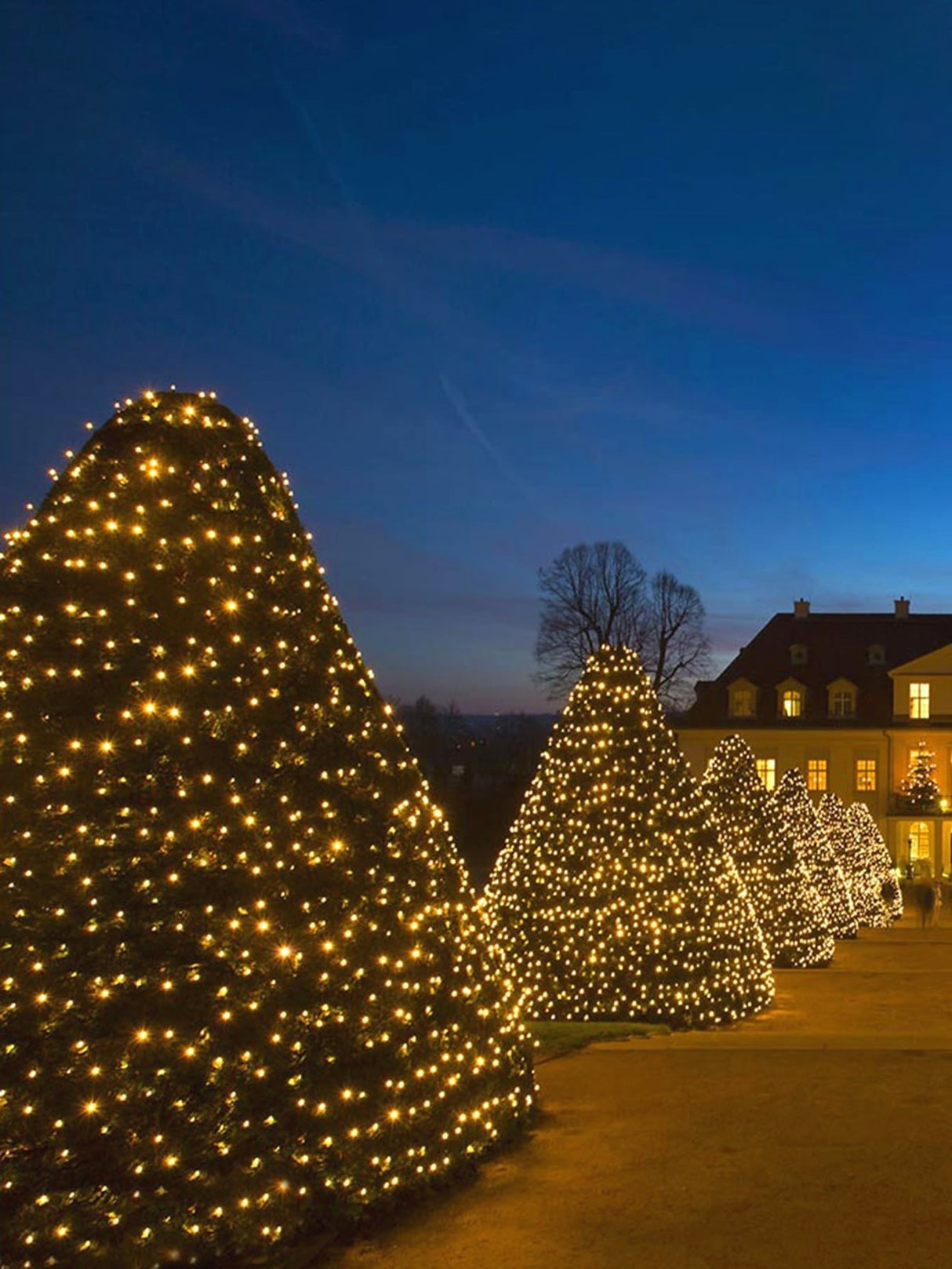 Copper String Light with 200pcs Bulb 1pc - Novelty Lighting