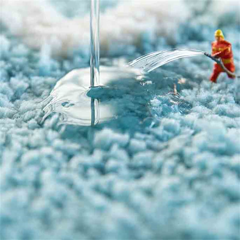 Blue Daisy Pattern Non-Slip Door Rug