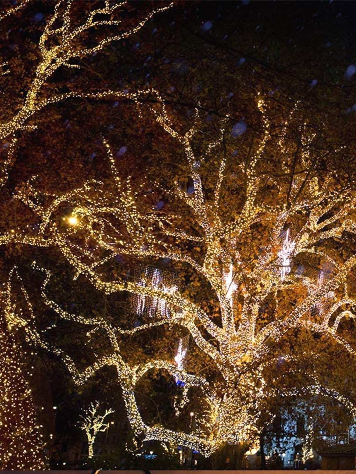 Copper String Light with 100pcs Bulb 1pc - Novelty Lighting