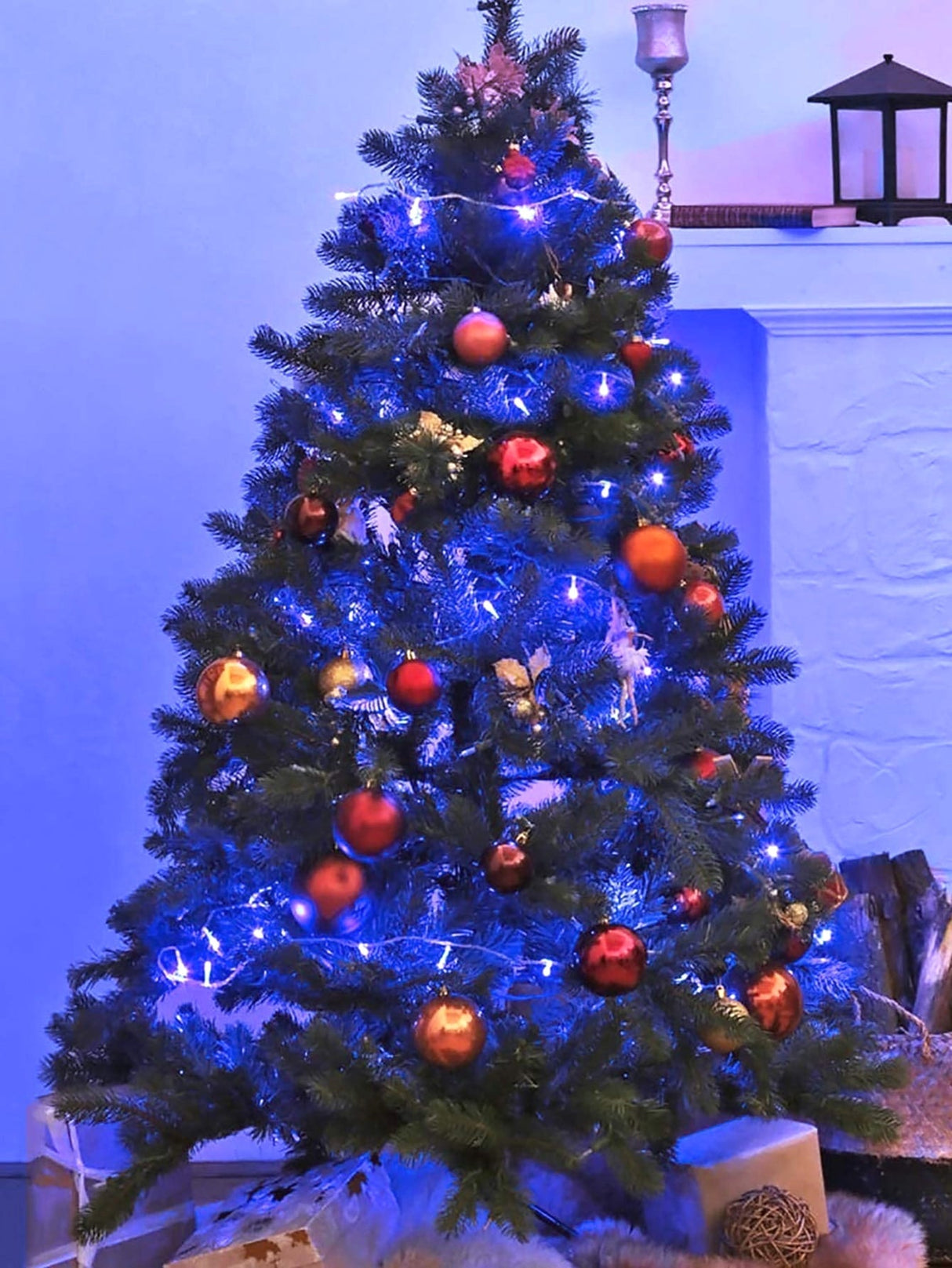 5m String Light 1pc - Novelty Lighting