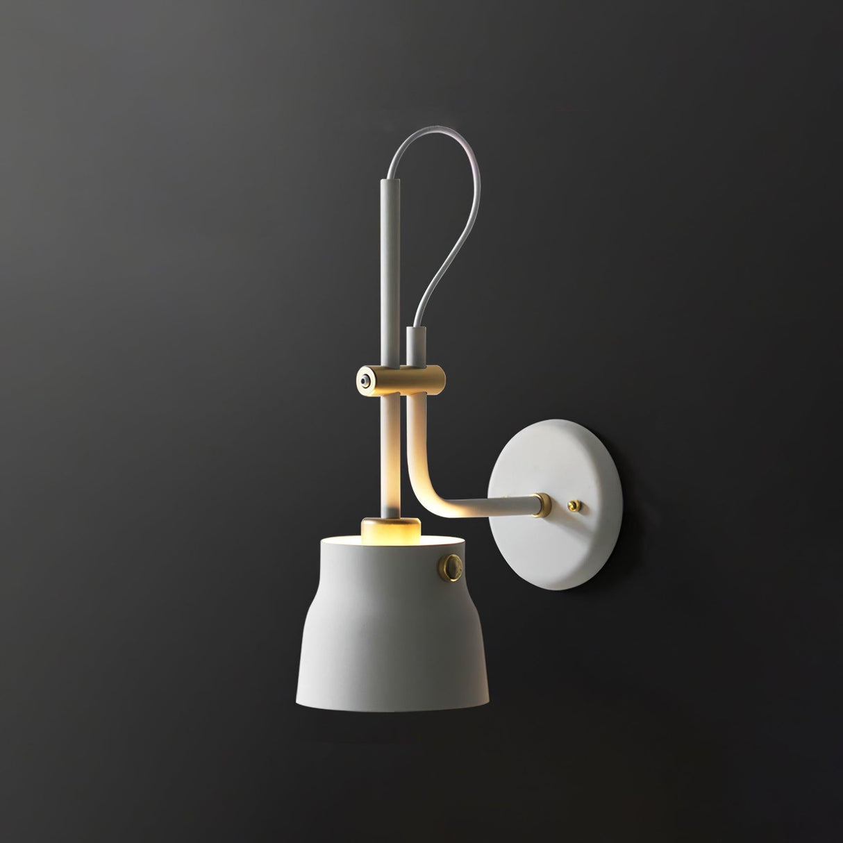 Adjustable Wall Lamp