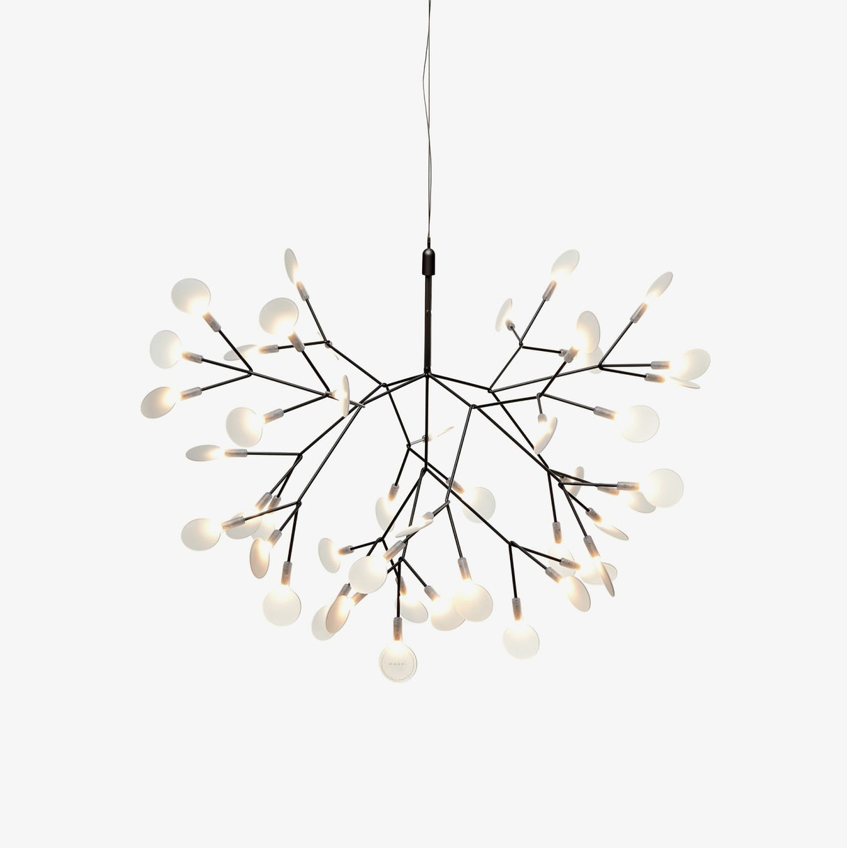 Black Heracleum Chandelier