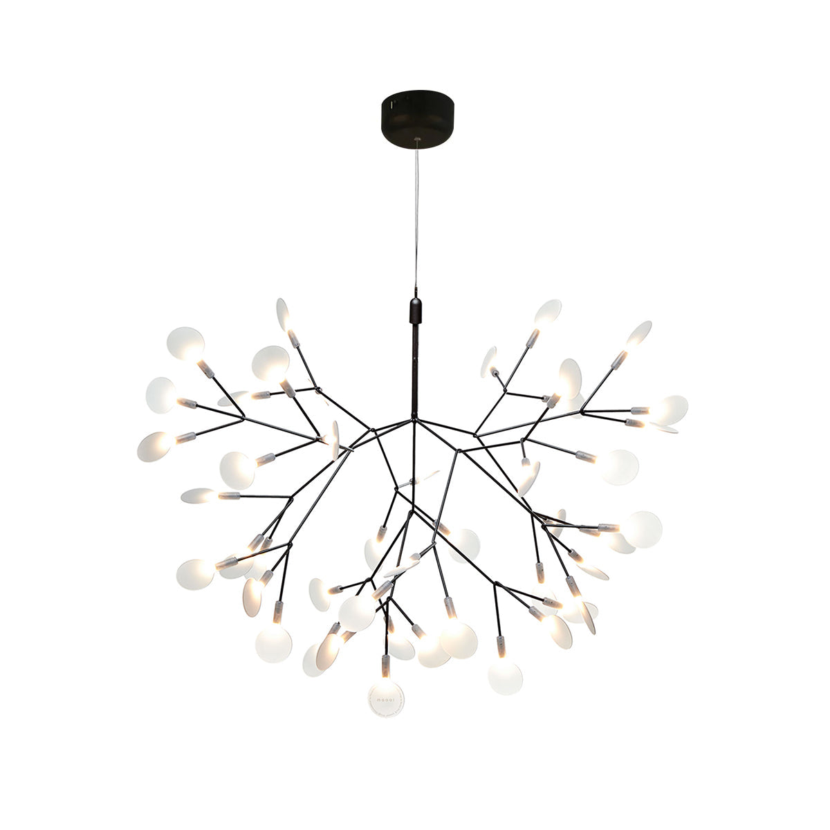 Black Heracleum Chandelier