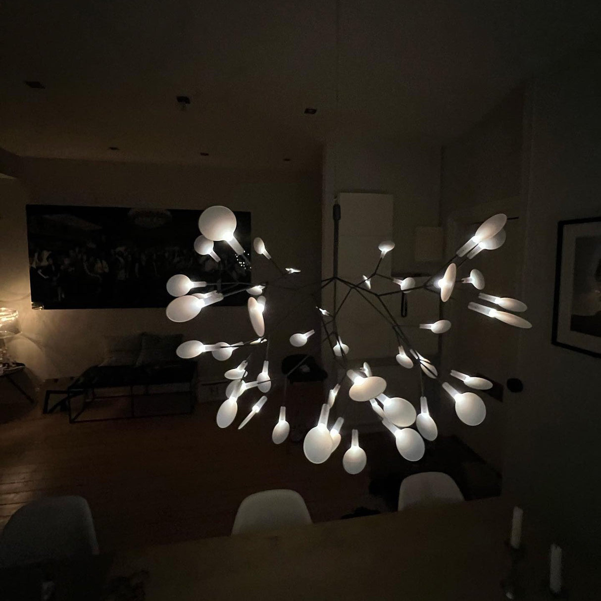 Black Heracleum Chandelier