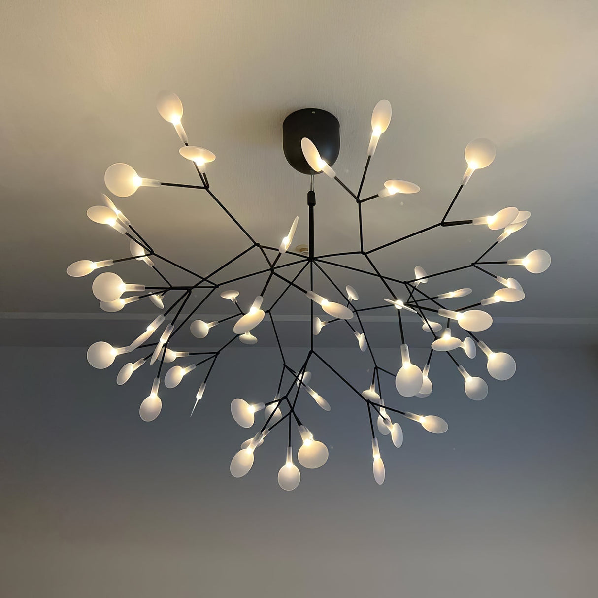 Black Heracleum Chandelier