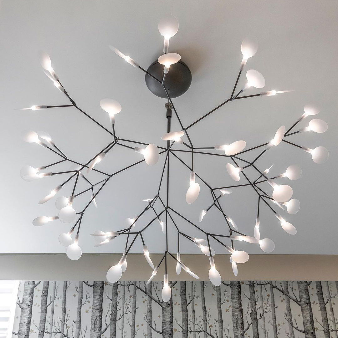 Black Heracleum Chandelier
