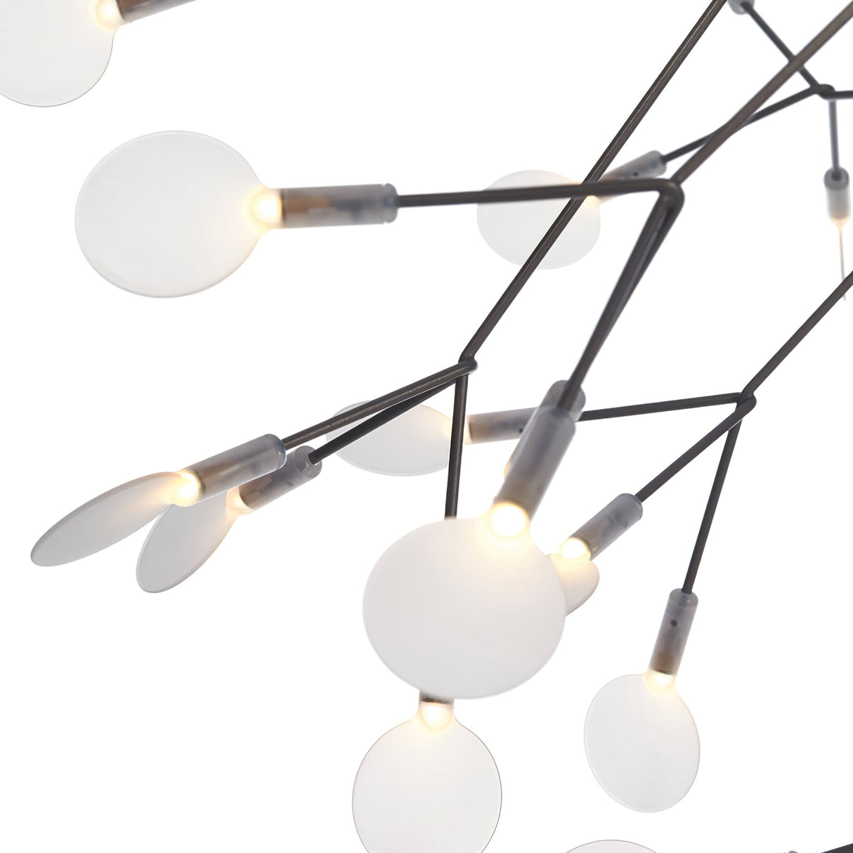 Black Heracleum Chandelier