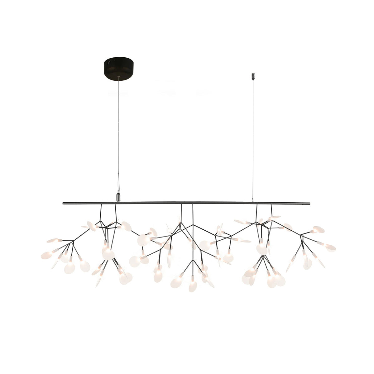 Black Heracleum Chandelier