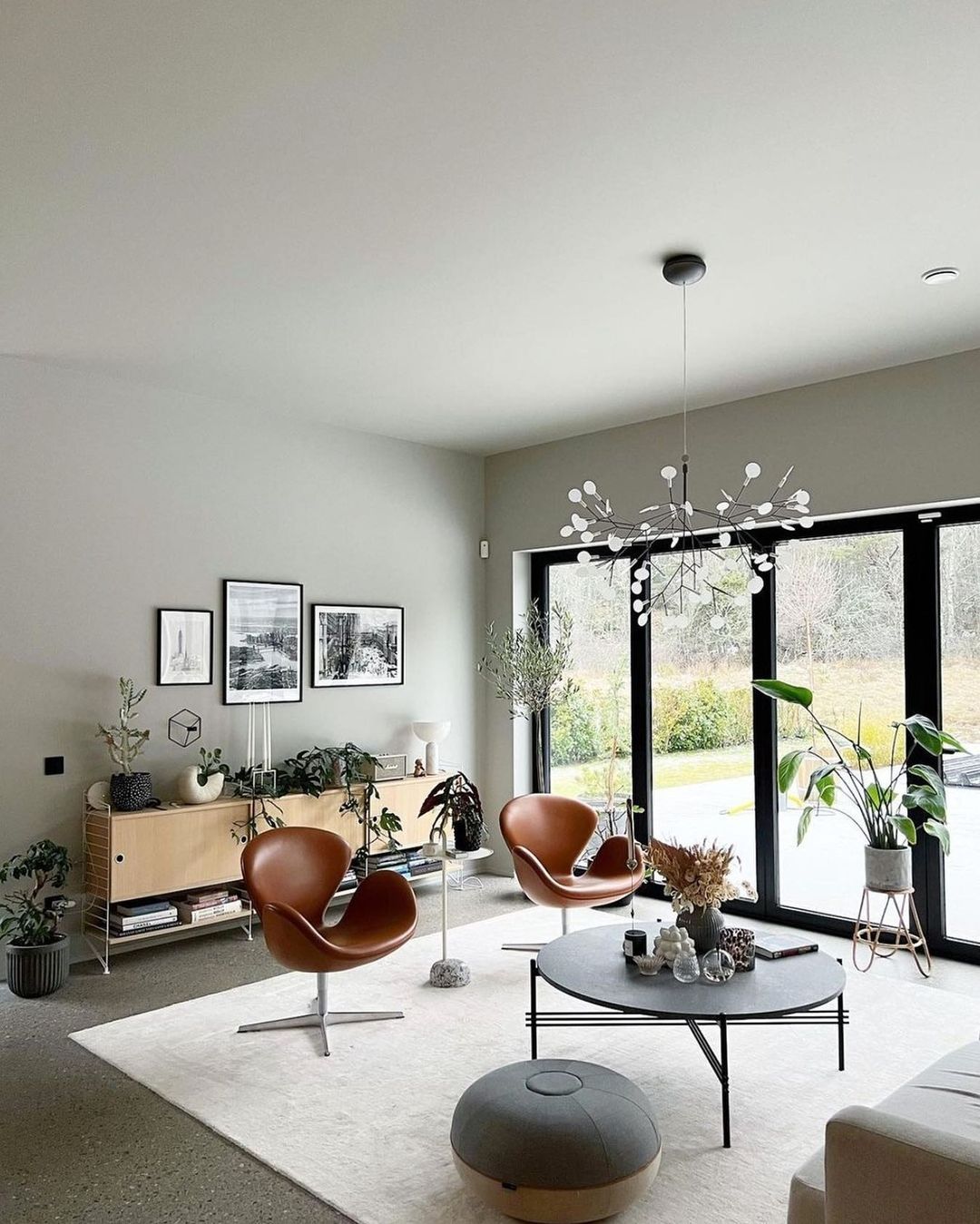 Black Heracleum Chandelier