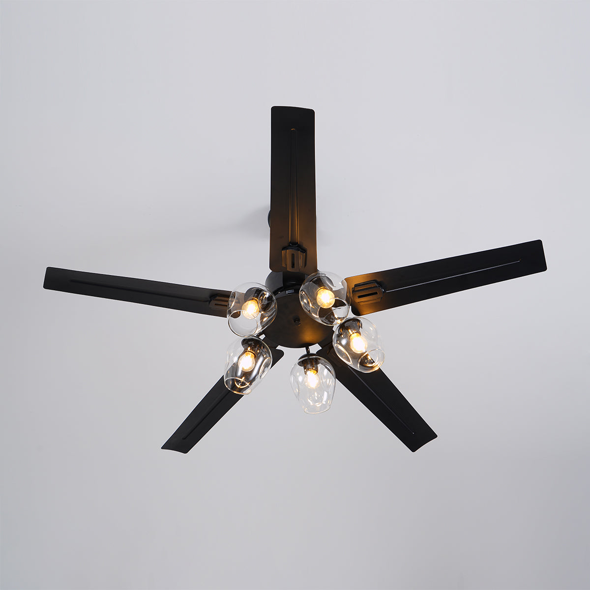 Glass Ball Ceiling Fan light