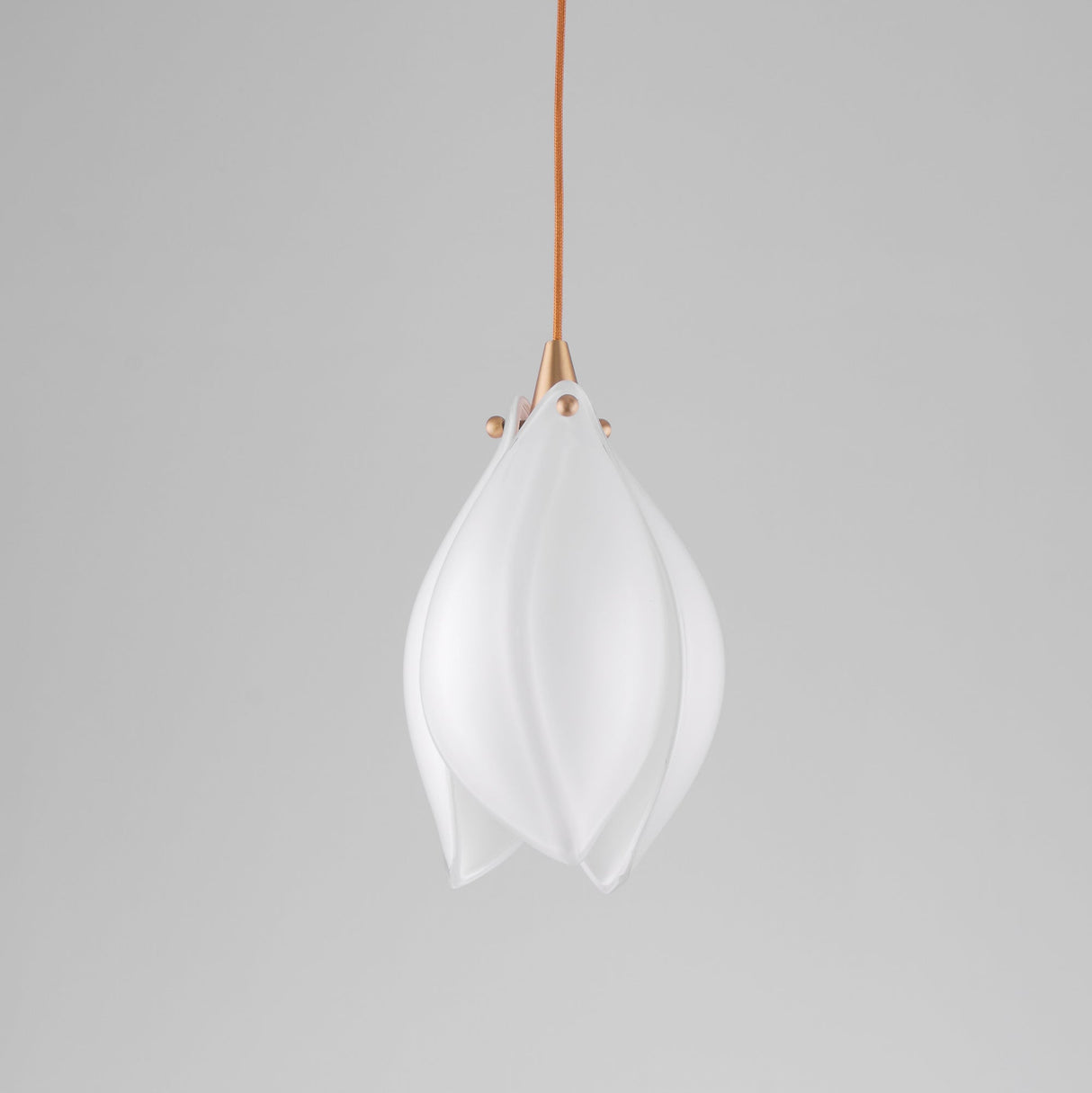 Bloom Pendant Light