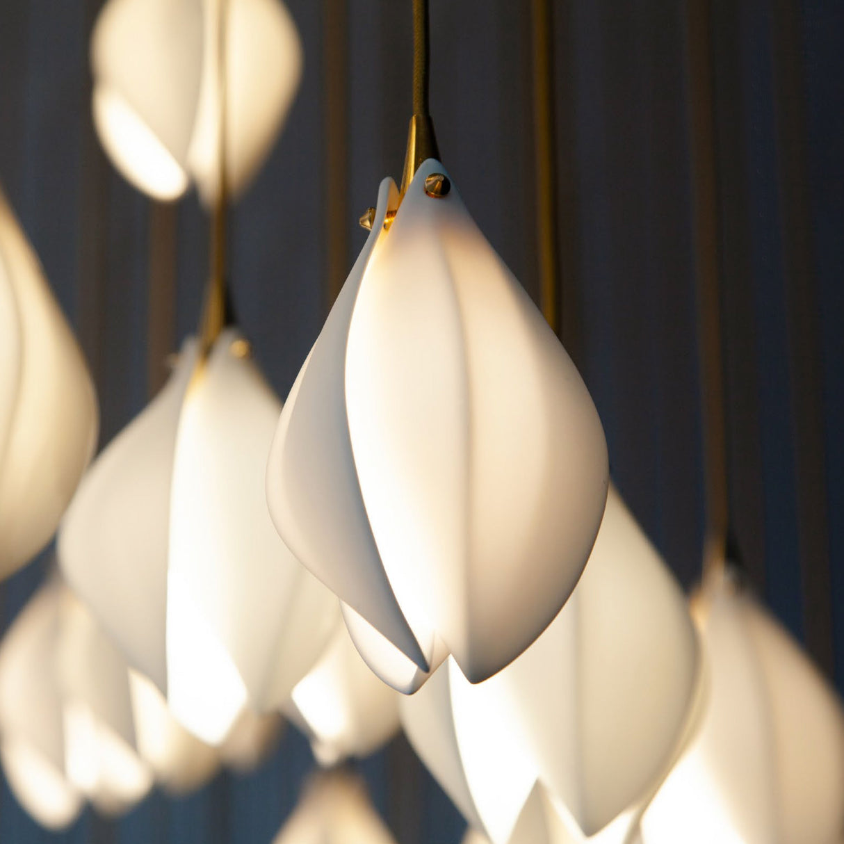 Bloom Pendant Light