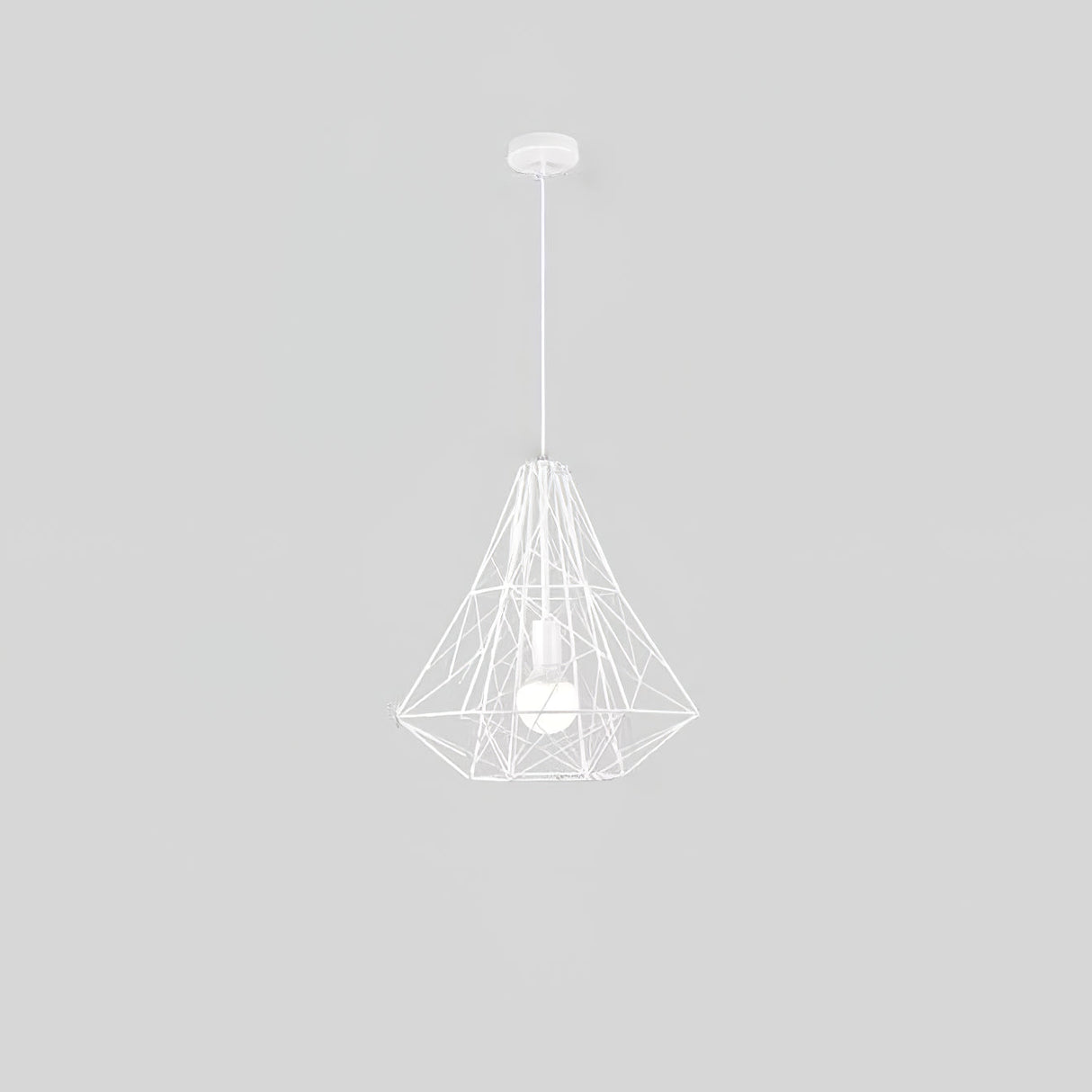 Cage Light Frame Pendant