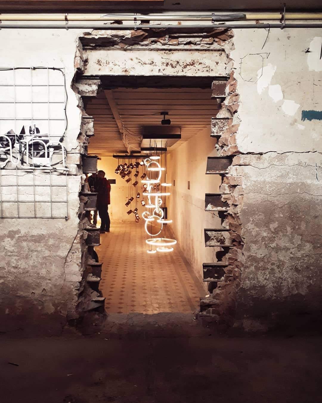 Chrona Dish Suspension