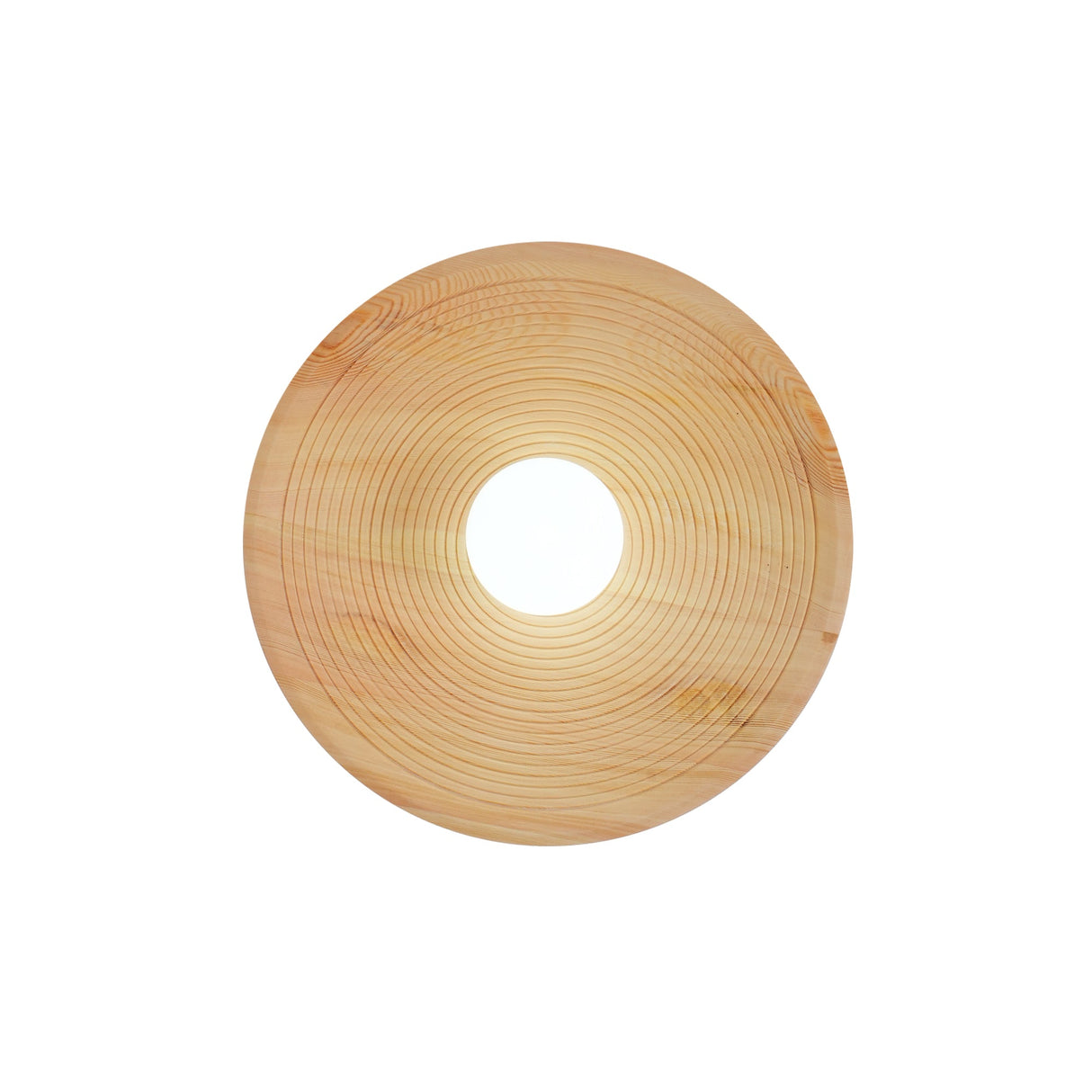 Annual Ring Wall Lamp