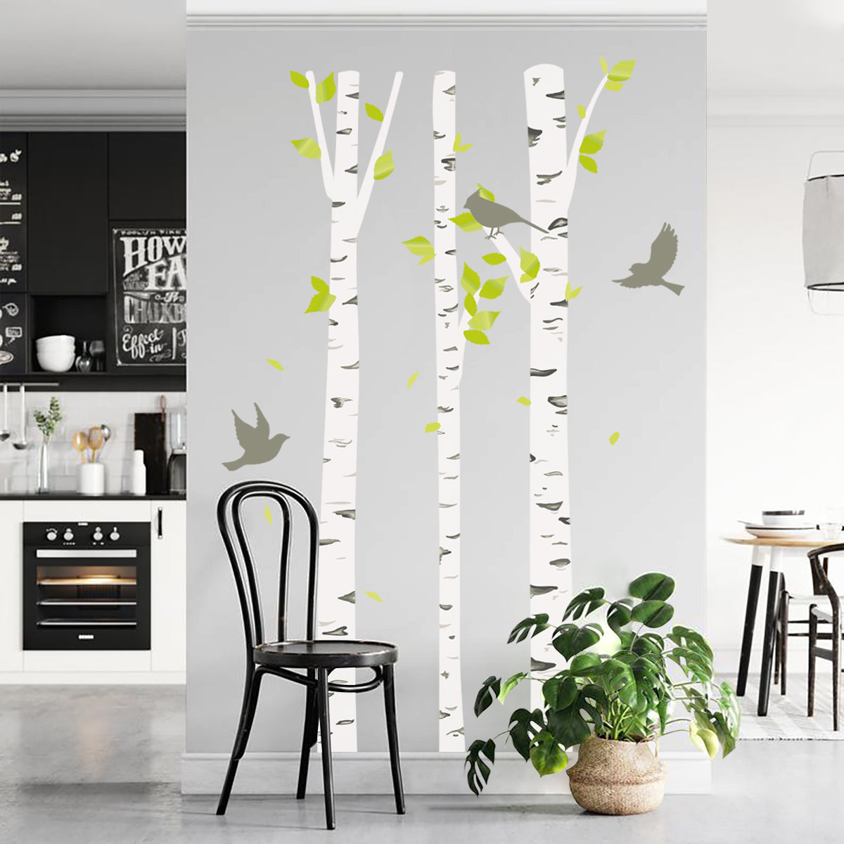 Large Birch Trees Wall Decals
