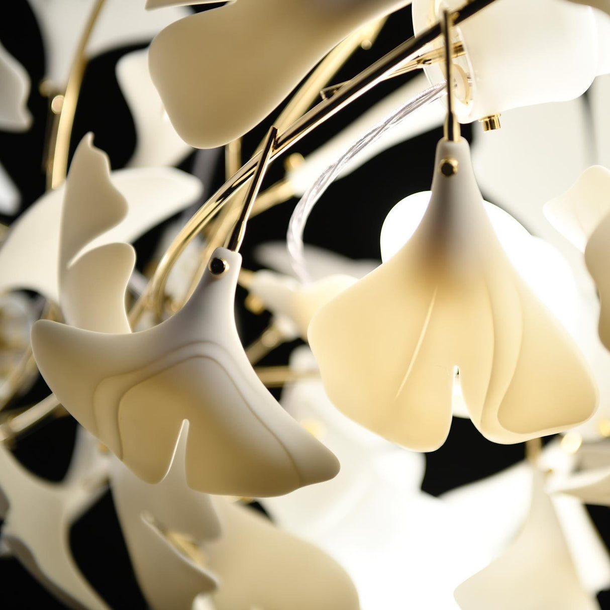 Gingko Chandelier J