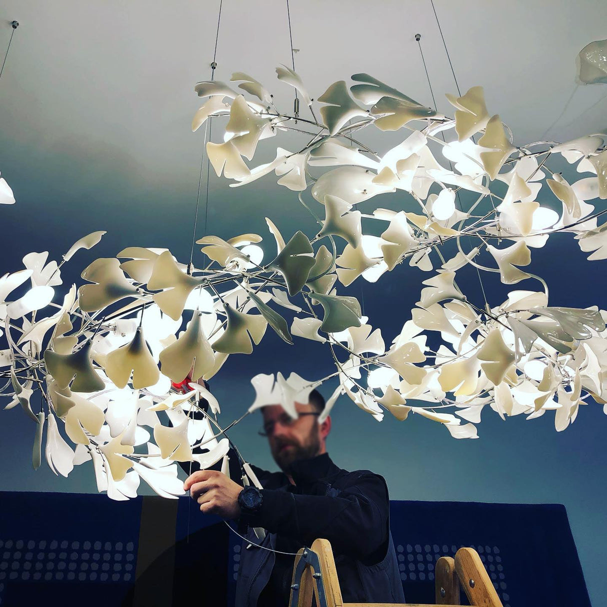 Gingko Chandelier C