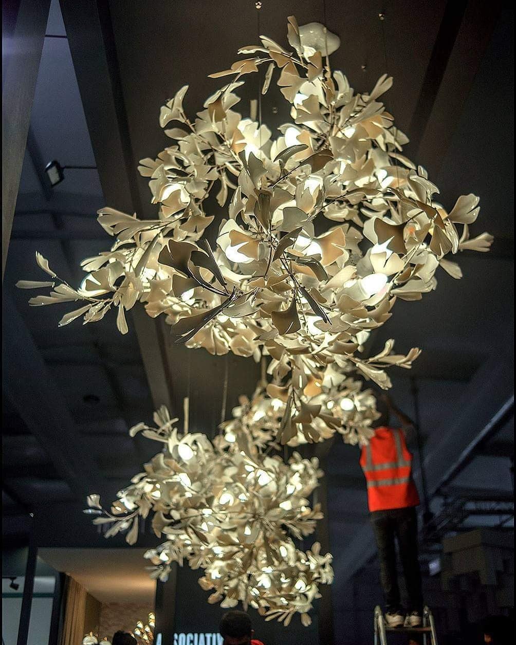Gingko Chandelier C