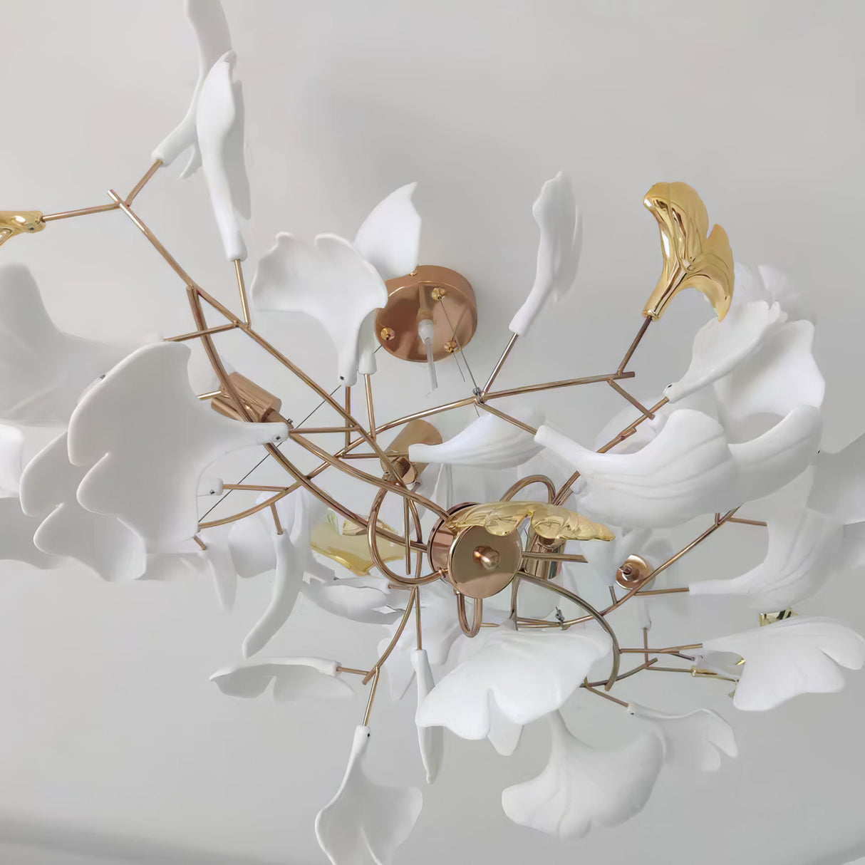 Gingko Chandelier B