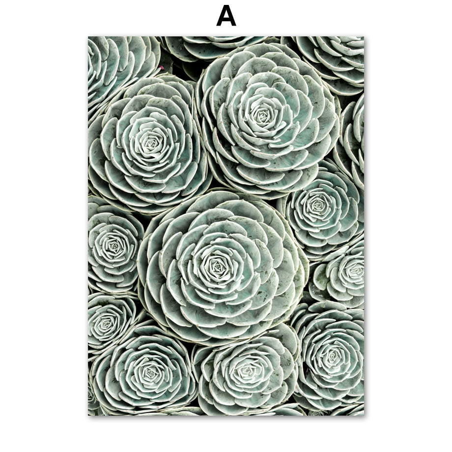 Green Cactus Succulent Orchid Leaves Wall Art Canvas Painting Nordic Posters And Prints Wall Pictures For Living Room Wall Decor