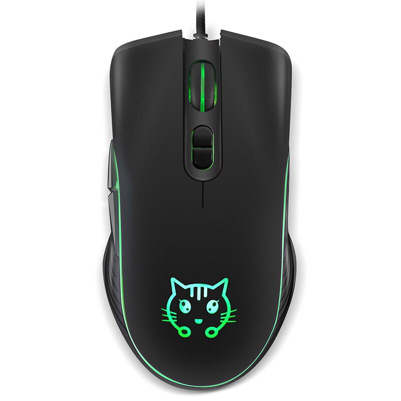 RGB Cat Mouse