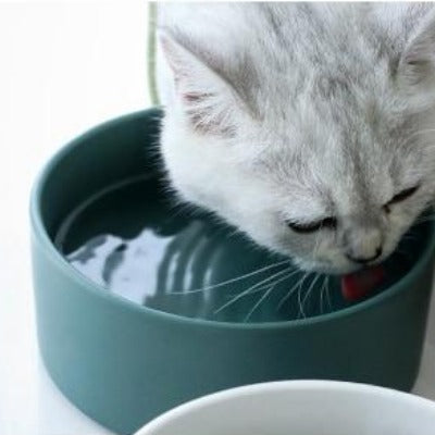 The Matte Midcentury Pet Food Bowl Set with Stand