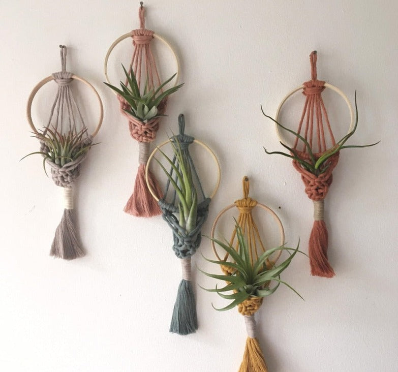 Boho Wall Hanging Plant Holder
