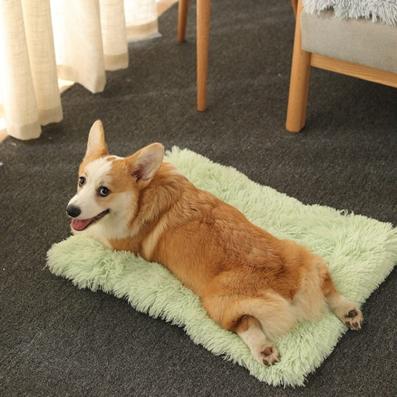 The Convertible Pet Nest