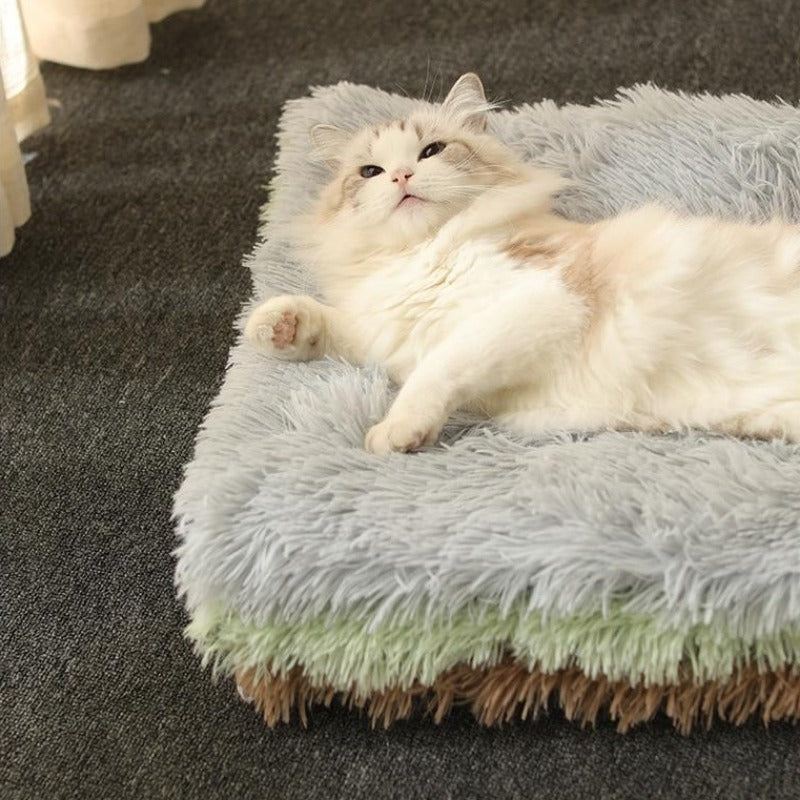 The Convertible Pet Nest