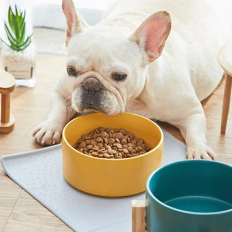 The Matte Midcentury Pet Food Bowl Set with Stand