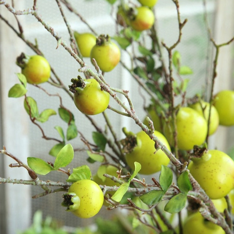 The Luxe Pomegranate Branch