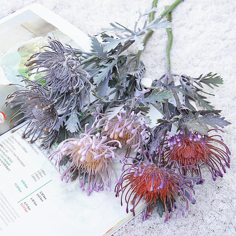 The Luxe Pincushion Protea Stem
