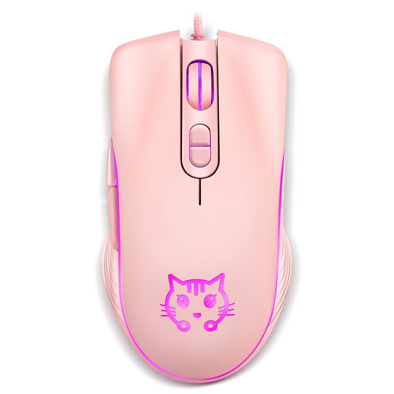 RGB Cat Mouse