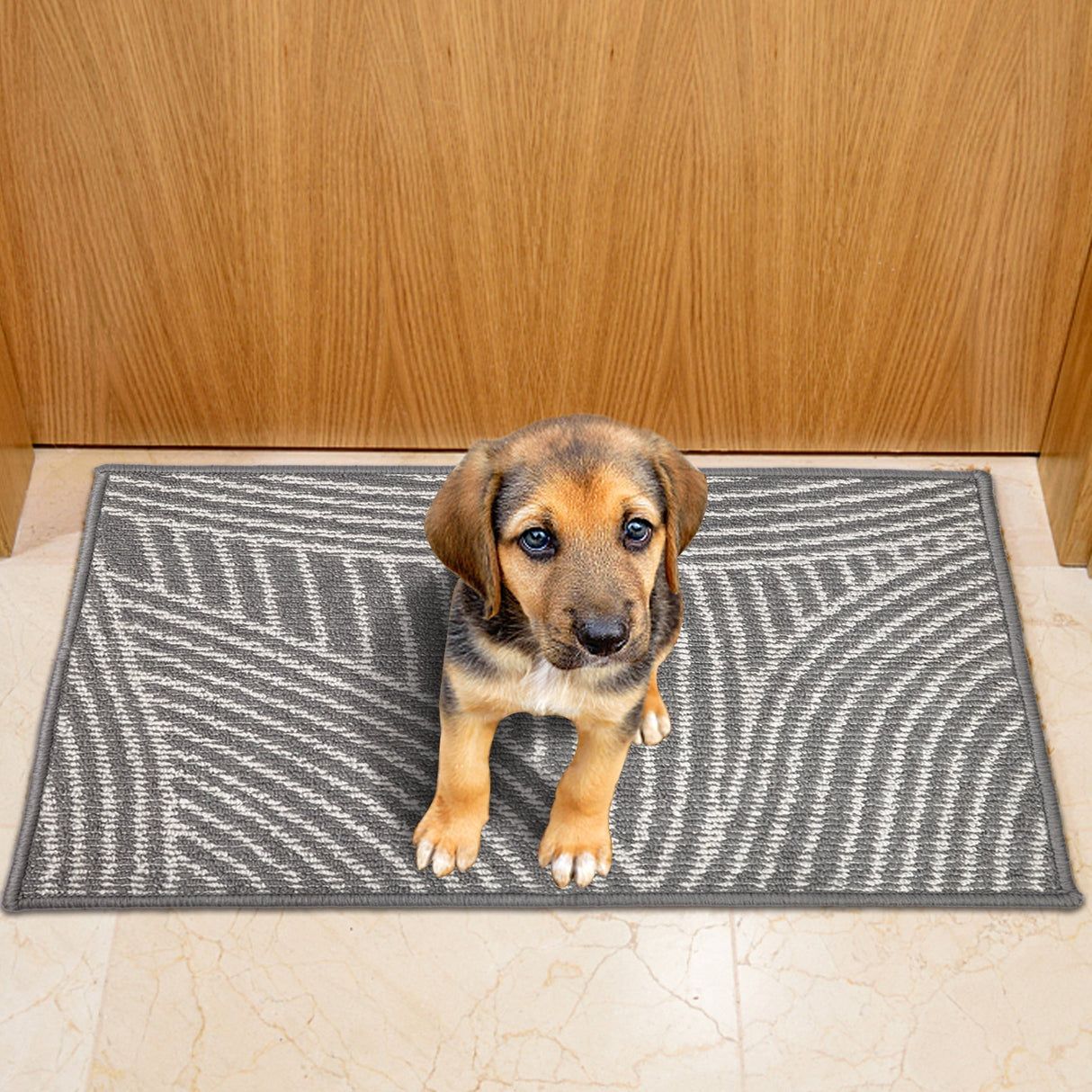 Light Grey Absorbent Entrance Rug