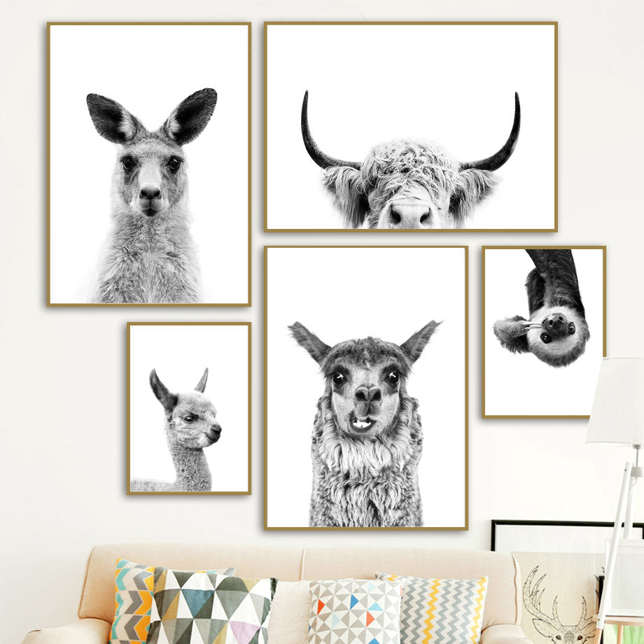 Black & White Alpaca Yak Otter Sloth Animals Wall Art
