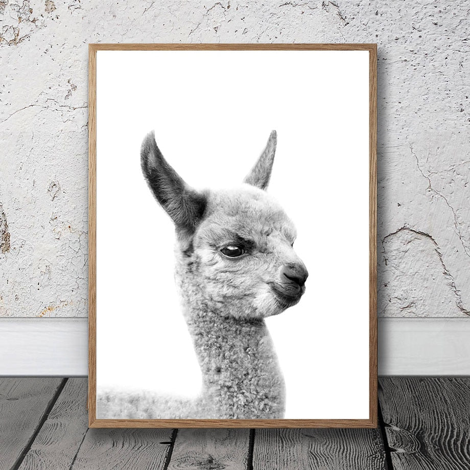 Black & White Alpaca Yak Otter Sloth Animals Wall Art