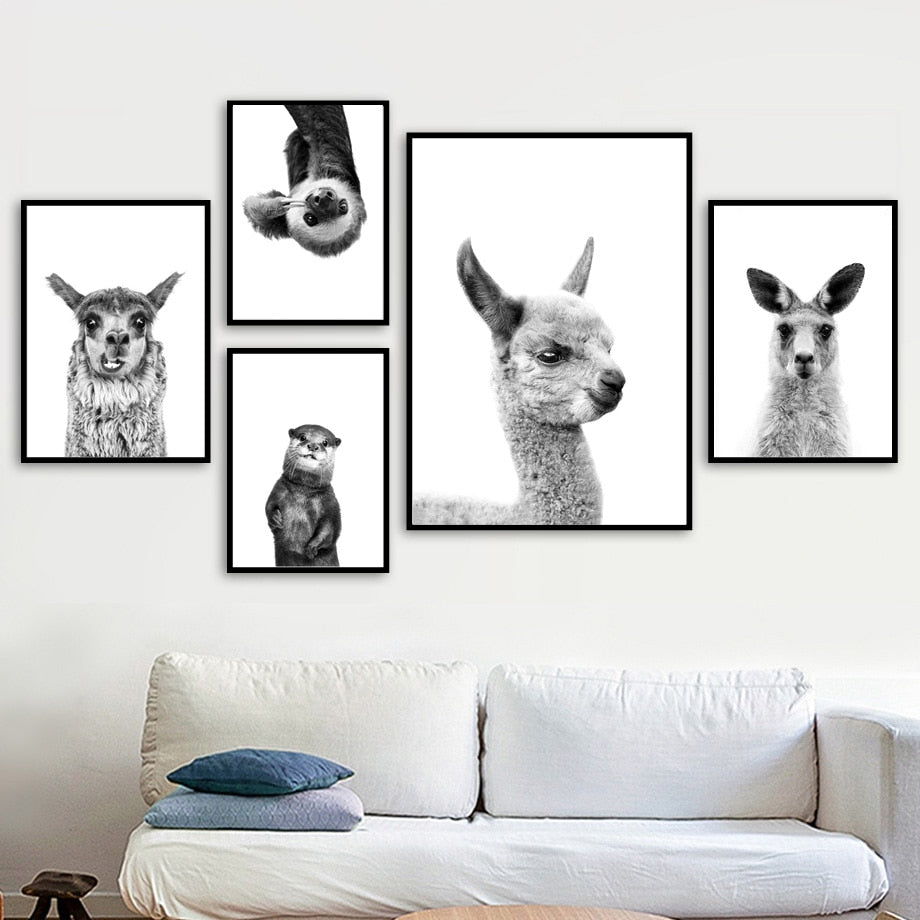 Black & White Alpaca Yak Otter Sloth Animals Wall Art