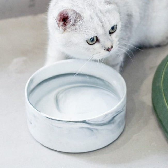 The Midcentury Marble Pet Food Bowl